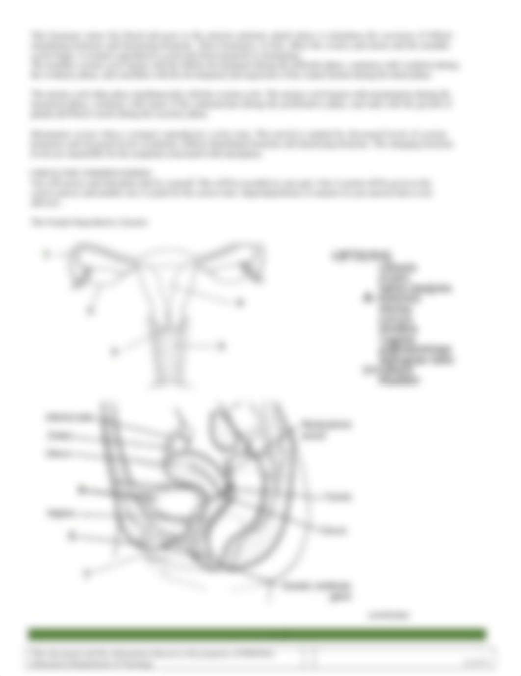 Session_46_SAS_-_AnaPhy_(Lab).docx_dwhibibo8rk_page2