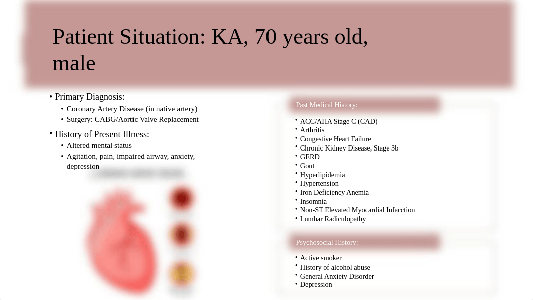 NU 407 Grand Rounds Case Study Presentation student example.pptx_dwhkqcs01d0_page2