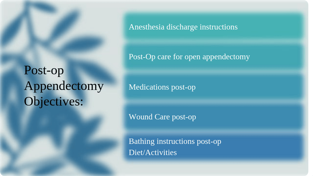 Discharge Teaching Plan.pptx_dwhlpd2fl0v_page3