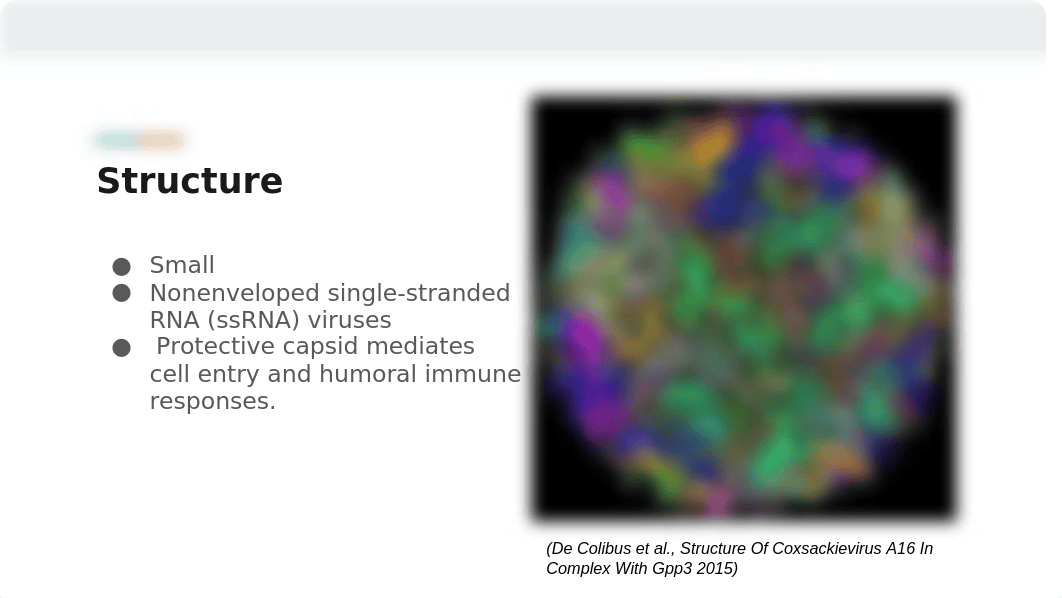 Disease Project Powerpoint.pptx_dwhxxihuf3o_page4