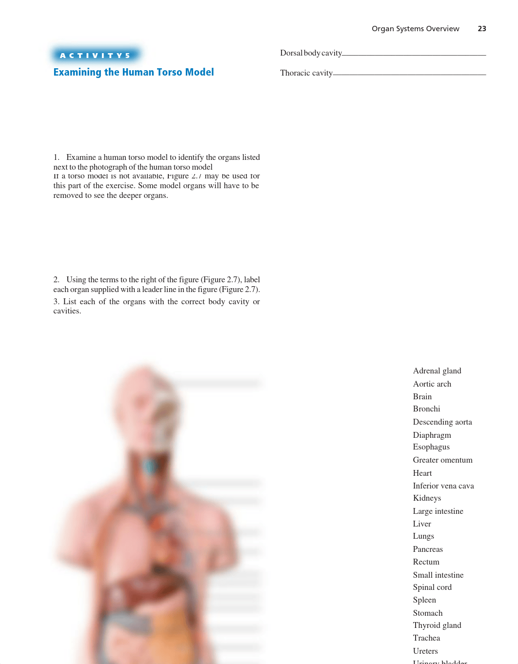 Lab 2 -Organ Systems.pdf_dwhy92rg1w7_page1