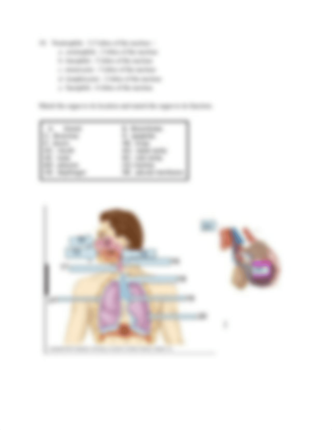 AP_II_MIDTERM_EXAM__blood-lymph.pdf_dwhyzpvsmjf_page3