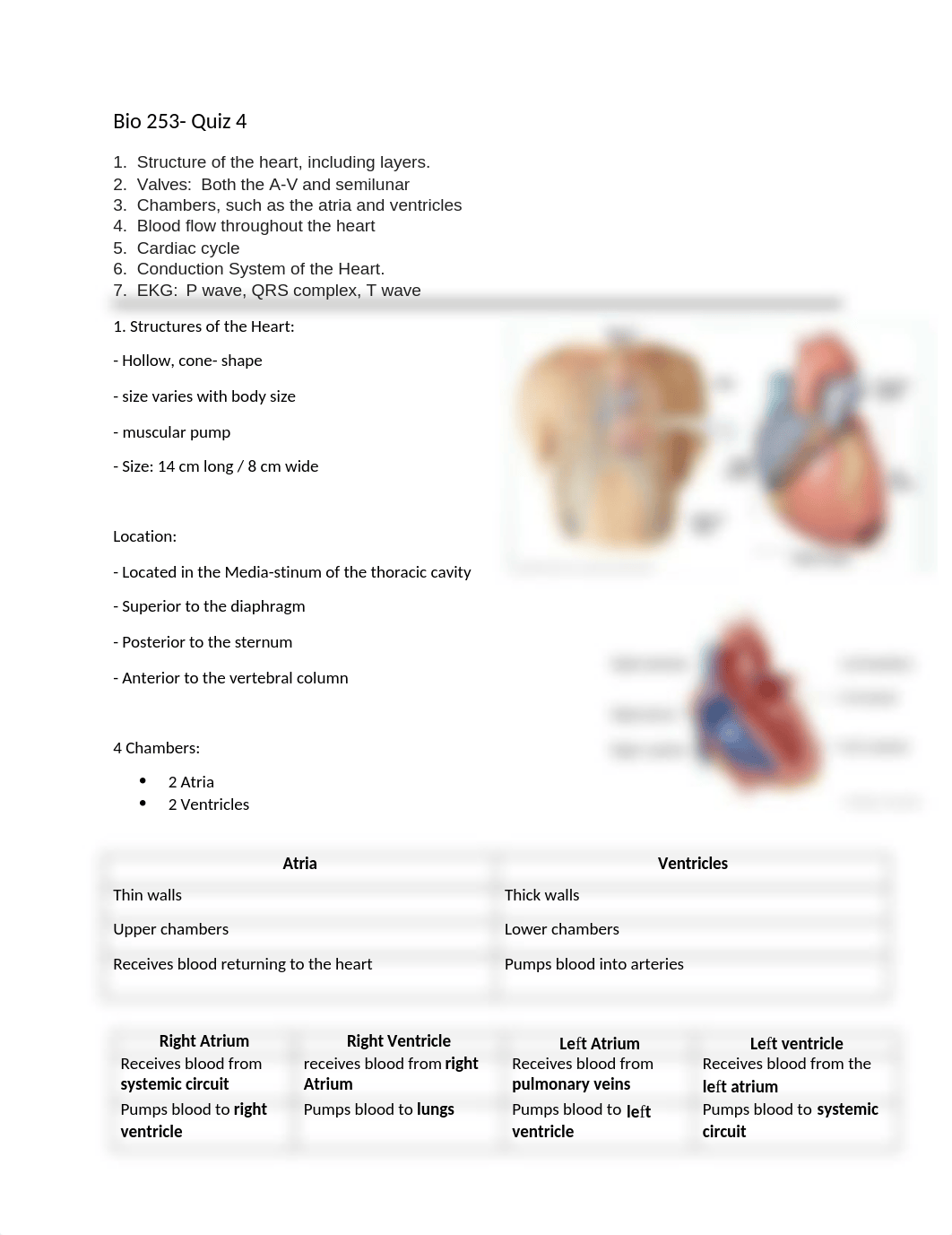 Bio 253_quiz4.docx_dwhztg51xoh_page1