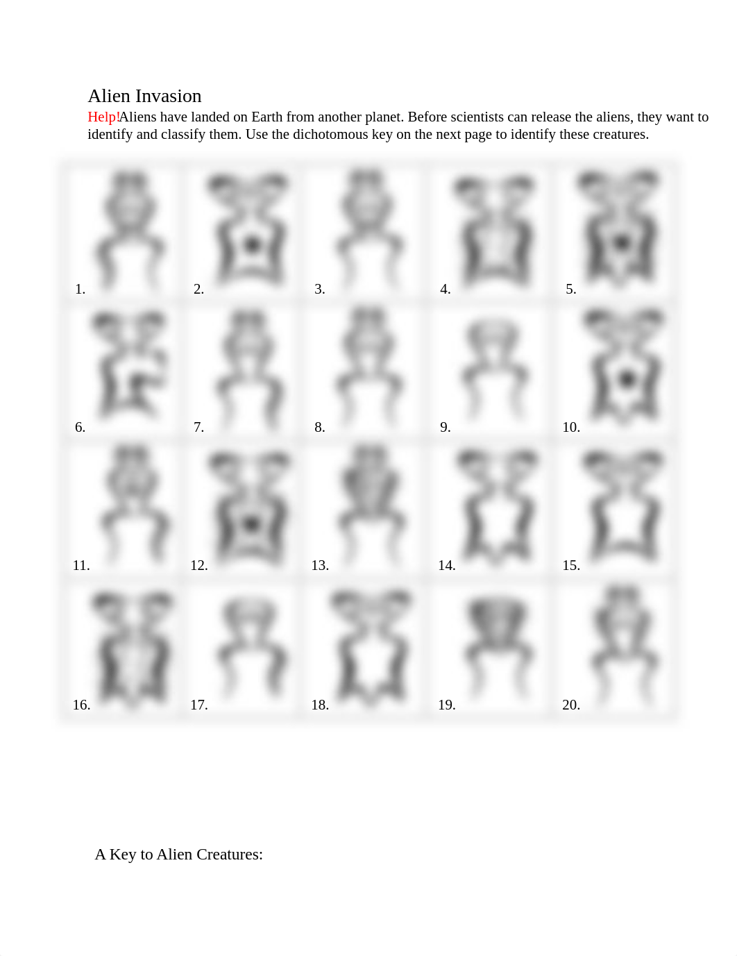 dichotomous key.doc_dwi5thjuj6h_page1