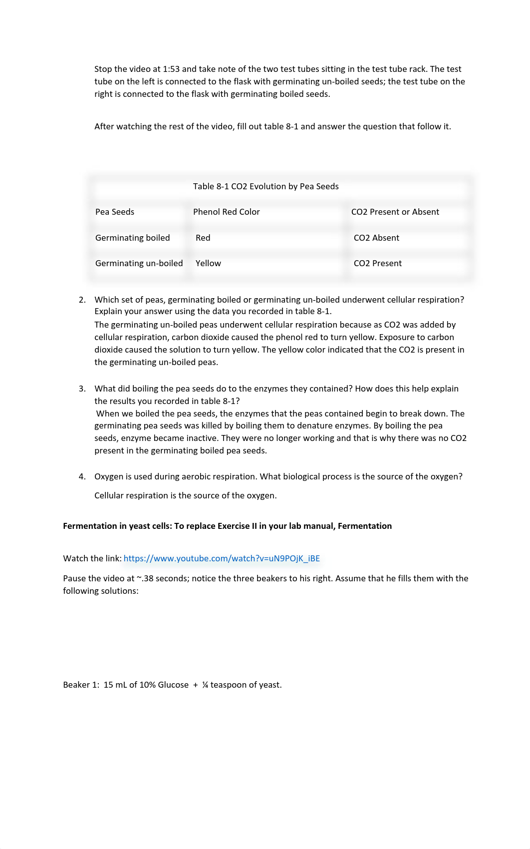 Respiration lab.pdf_dwi6vq3dykl_page2