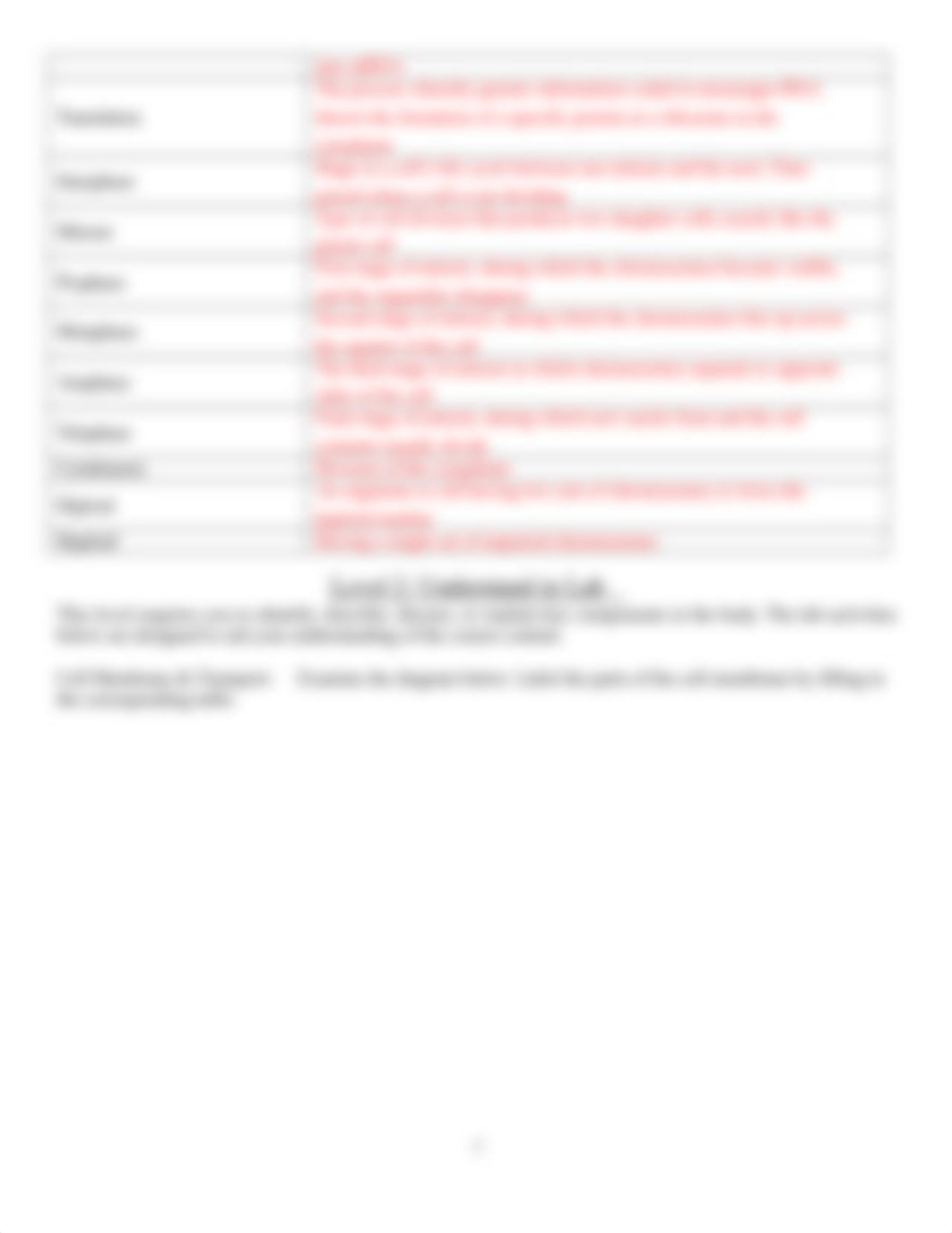 Lab 2 Cell Chemistry Structure and Function Portfolio(2).docx_dwi99zix3k8_page3