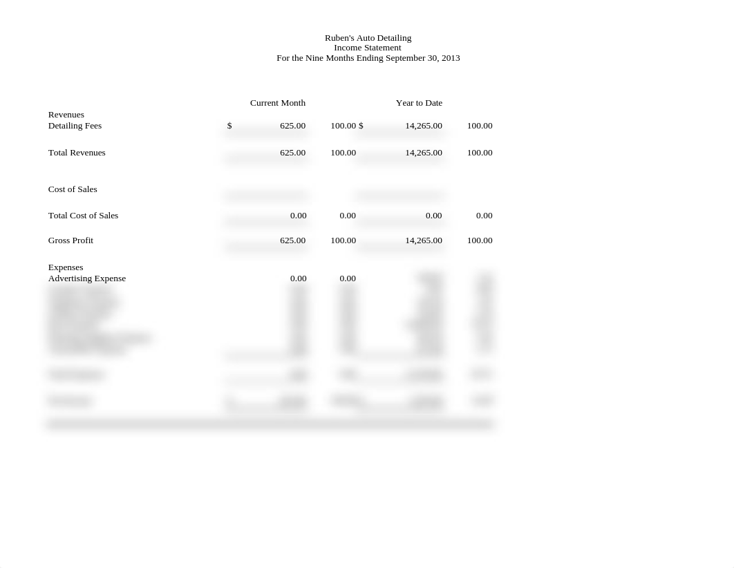 Ruben's Auto Detailing Income Statement_dwic8fyatmb_page1