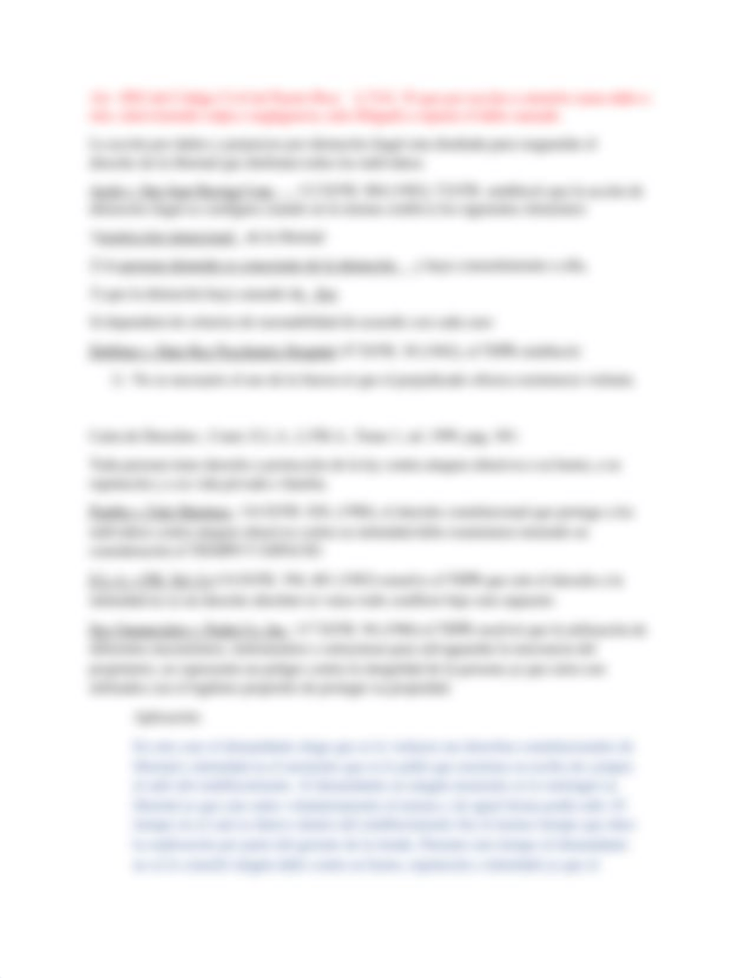 Brief Castro Cotto v Pitusa .docx_dwiffbkdt4o_page2