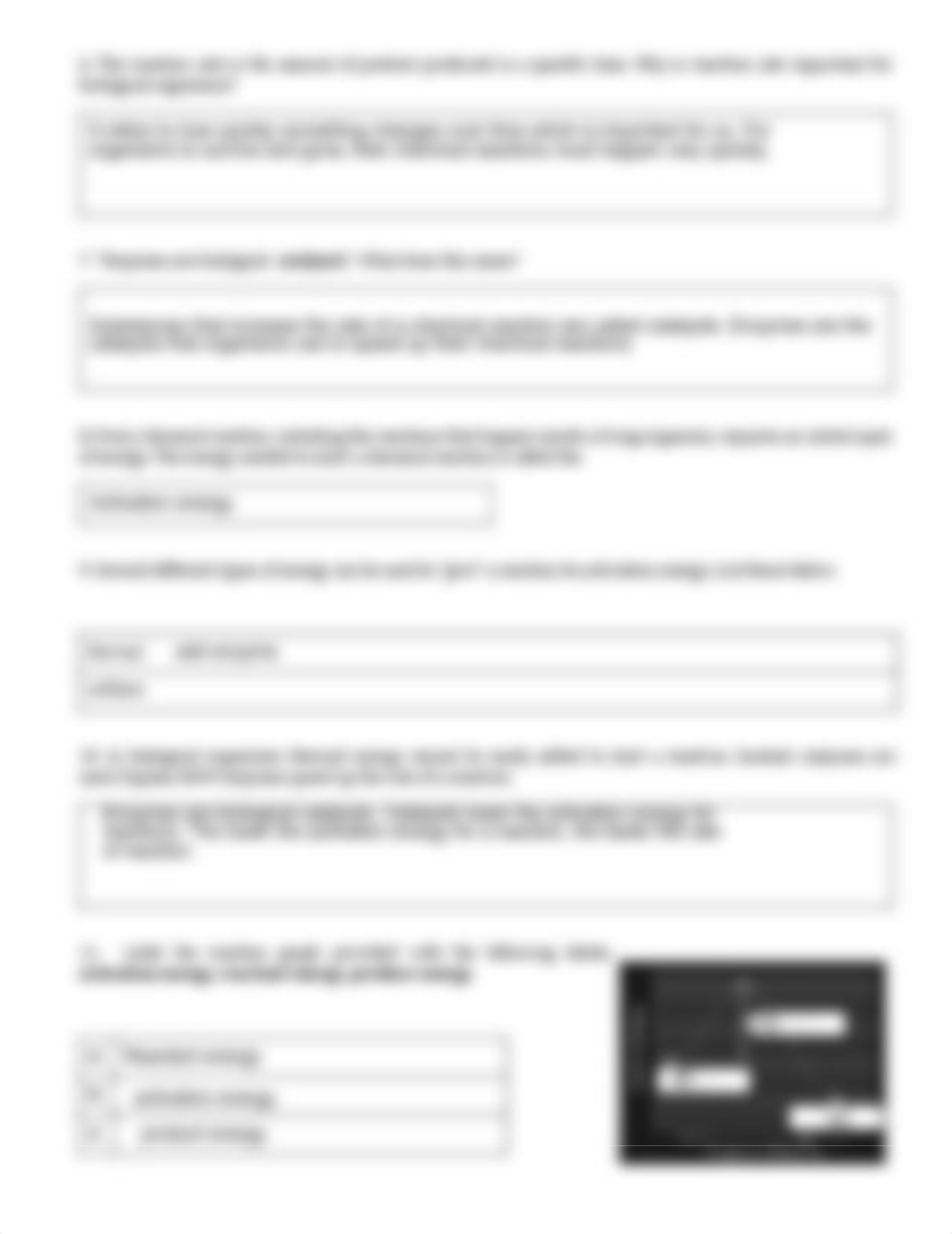 Stem Case - Enzymes (1).pdf_dwiika69s67_page2