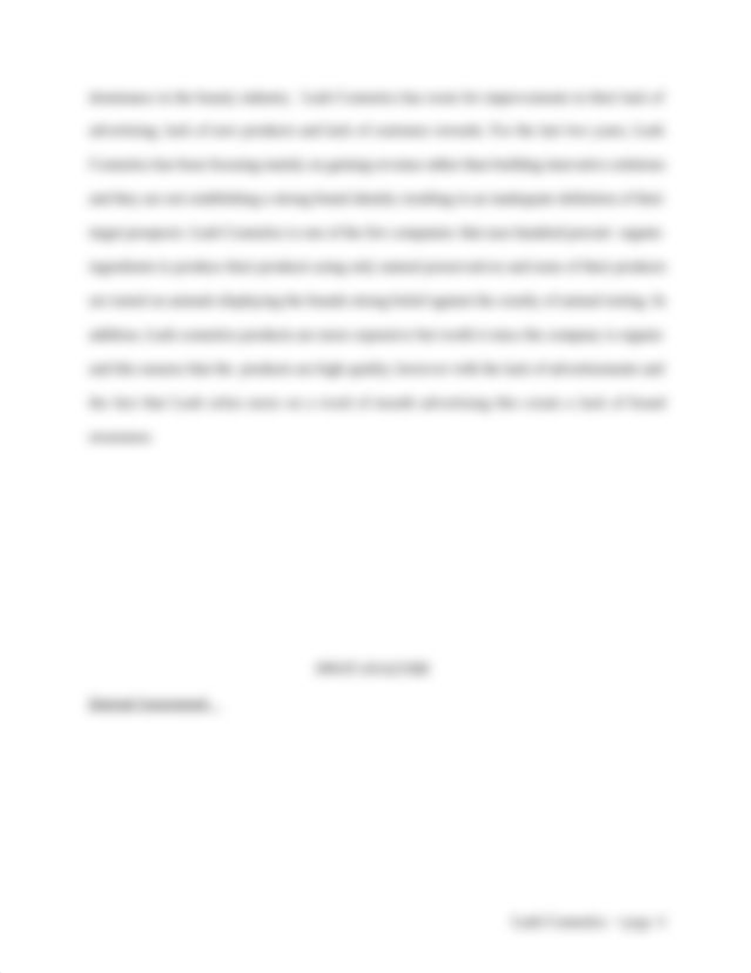 LUSH- FINAL CASE STUDY.docx_dwil8mmdomh_page5