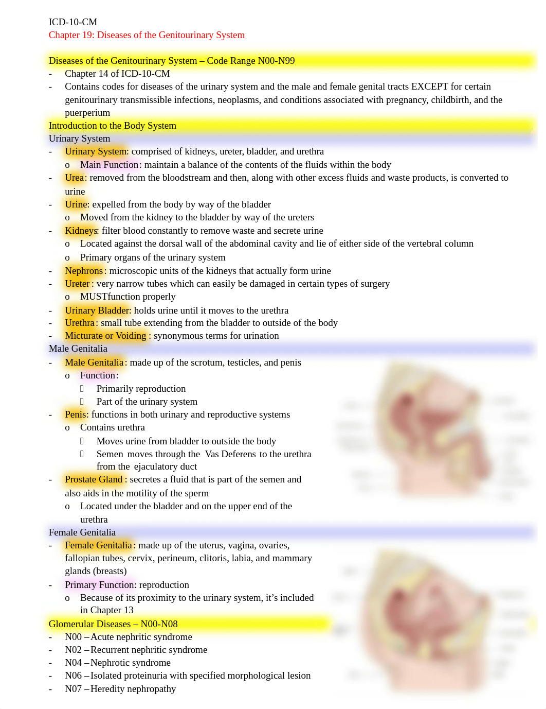 ICD-10-CM Chapter 19 Notes.docx_dwiwiebldc1_page1