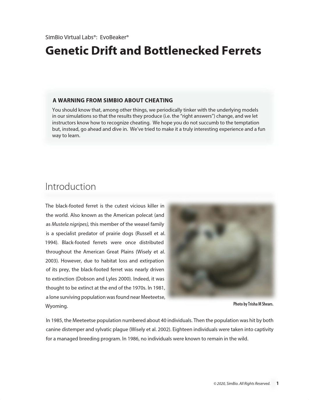 ST_GeneticDriftWB_2020 (1).pdf_dwizdsgozad_page2