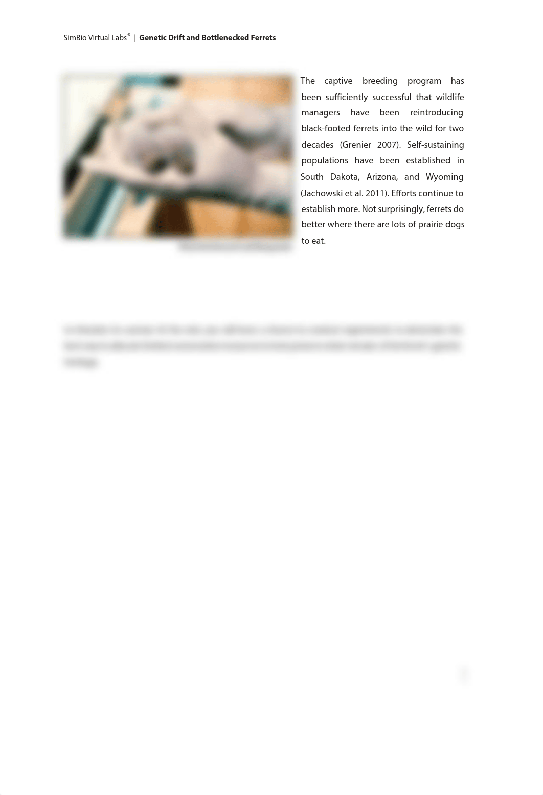 ST_GeneticDriftWB_2020 (1).pdf_dwizdsgozad_page3