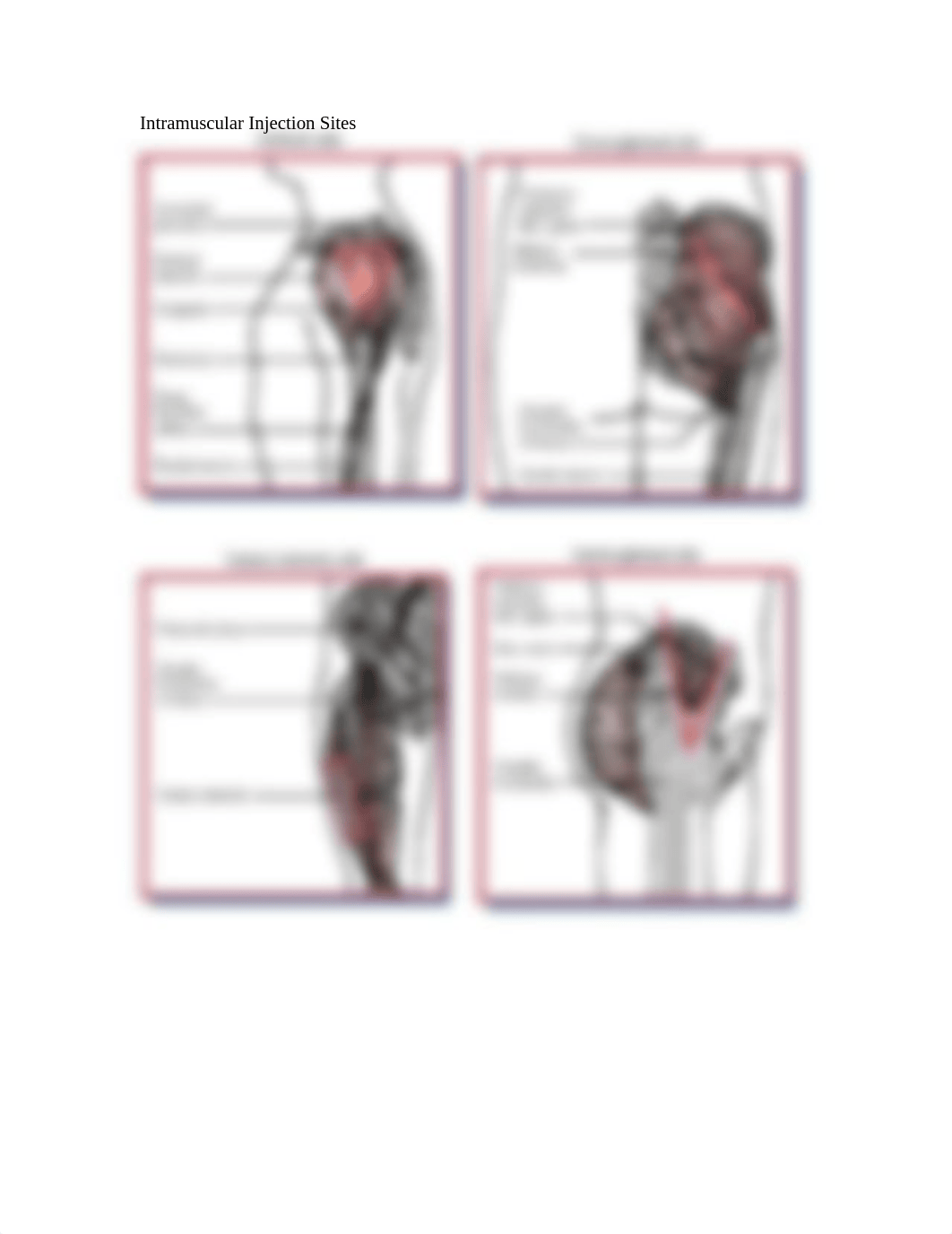 Week 2 - Injection Sites_dwj1ex71okh_page2