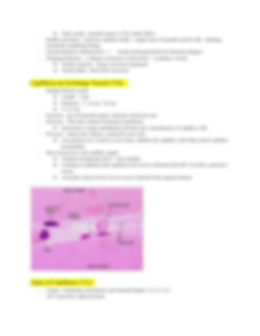 Bio202 Blood vessels (softchalk)_ch19 +Mastering cardio activity.pdf_dwj6gnmnnrq_page3