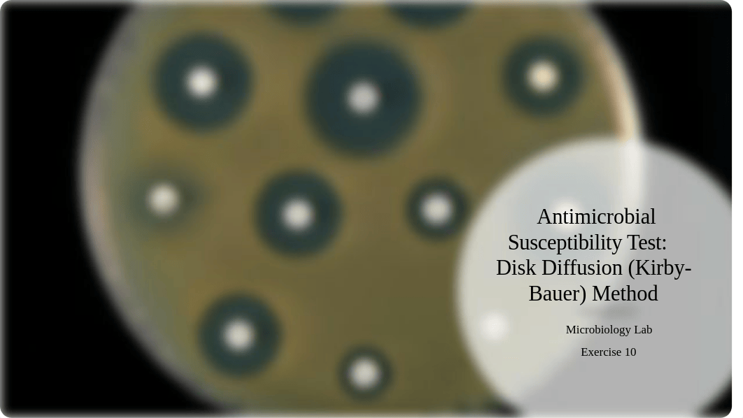 Antimicrobial Susceptibility Test.pptx_dwjf1rqwd2n_page1