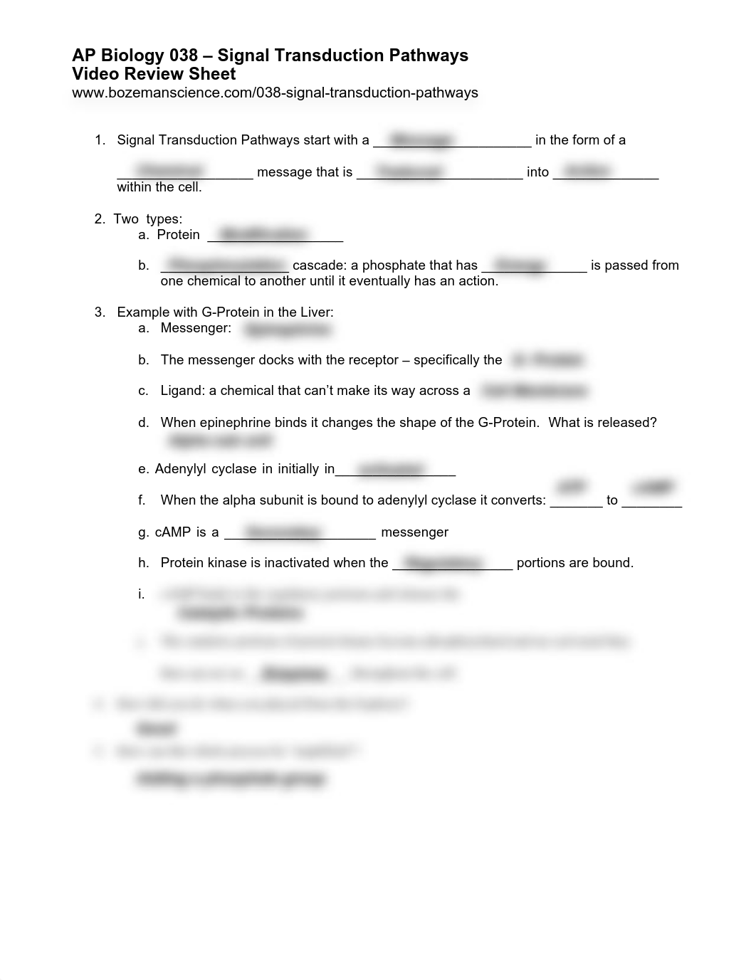 AP+Bio-038+Signal+Transduction+Pathways+Worksheet-WL.pdf_dwjkddowx1a_page1