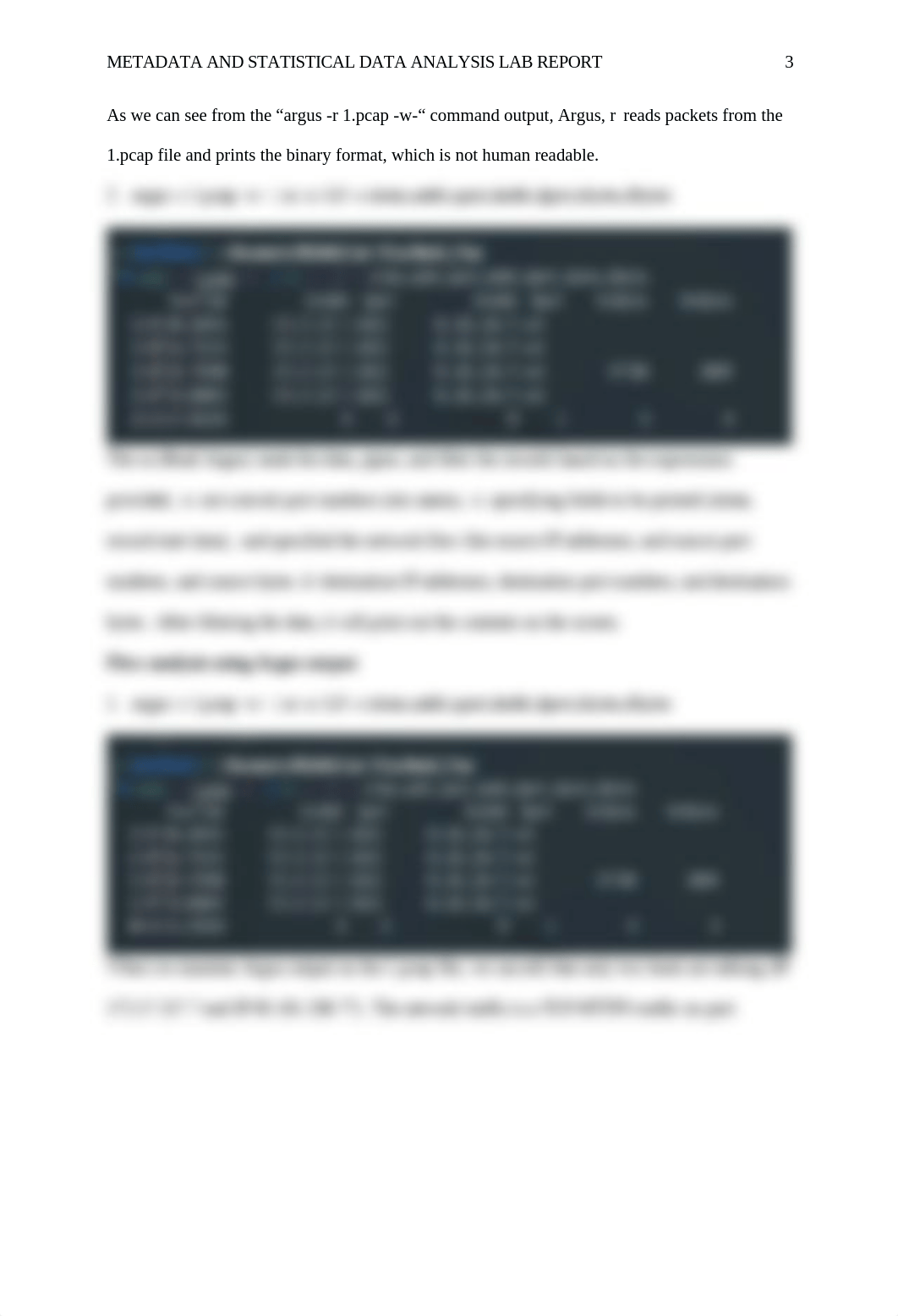 Lab 3 Metadata and Statistical Data Analysis.docx_dwjmla1mdbi_page3