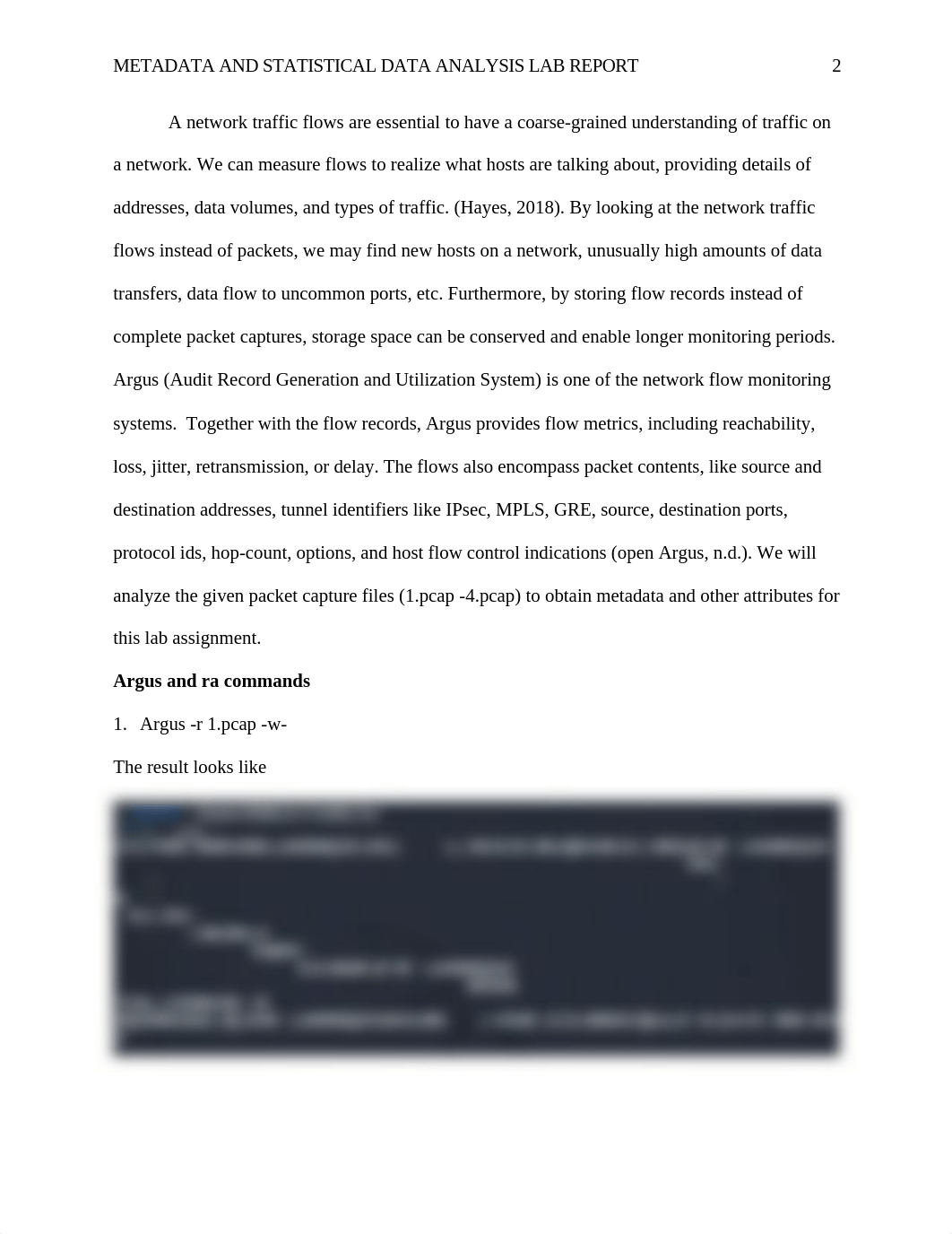 Lab 3 Metadata and Statistical Data Analysis.docx_dwjmla1mdbi_page2