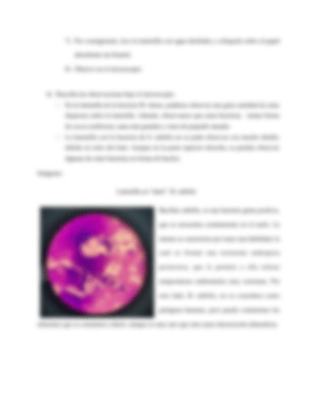 Lab 2 BIOL 3105.docx_dwjs63rmr8z_page3