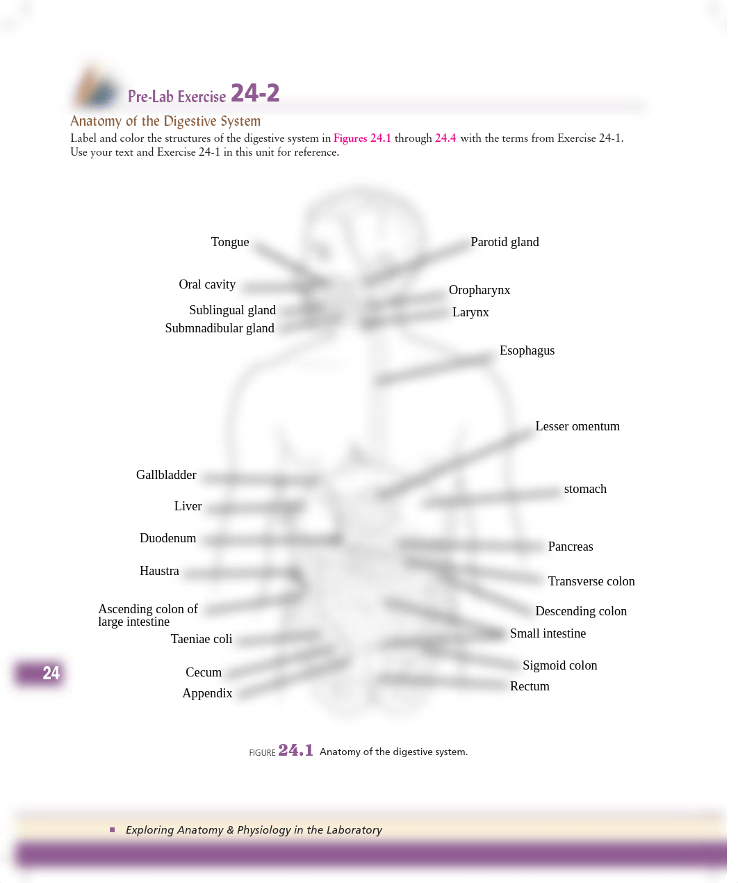 Unit 24  Pre-Lab Exercise 24-2.pdf_dwjy3kowt1u_page1