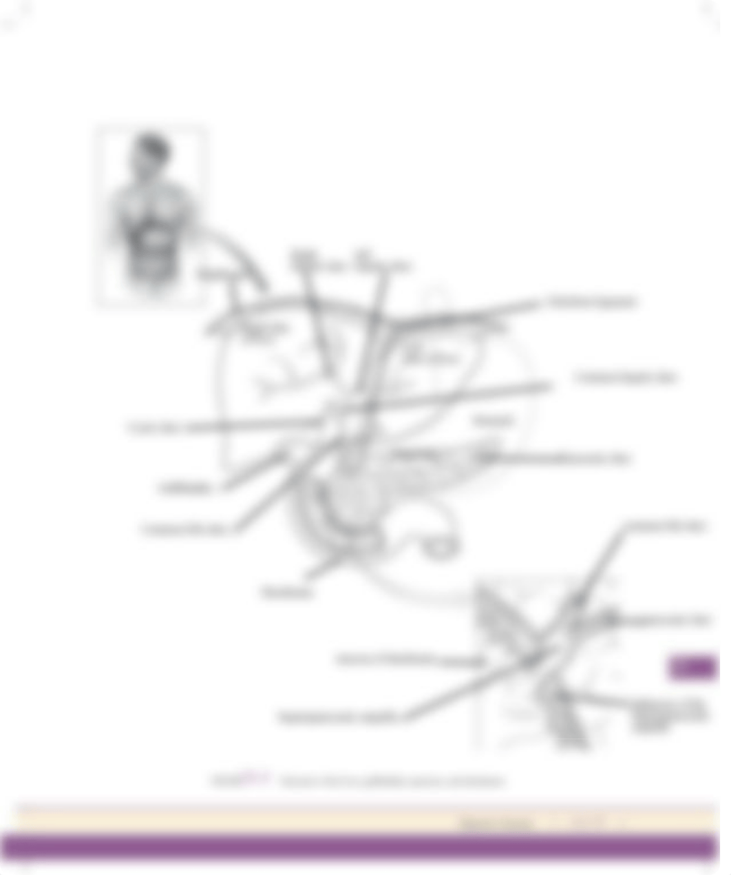 Unit 24  Pre-Lab Exercise 24-2.pdf_dwjy3kowt1u_page4