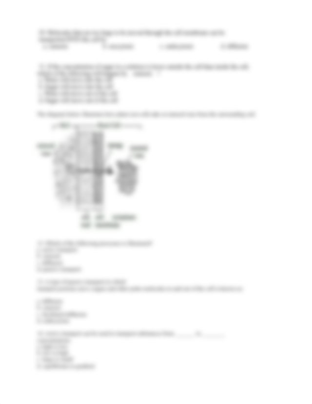 Test- cell transport.docx_dwk2j8zwsfz_page2