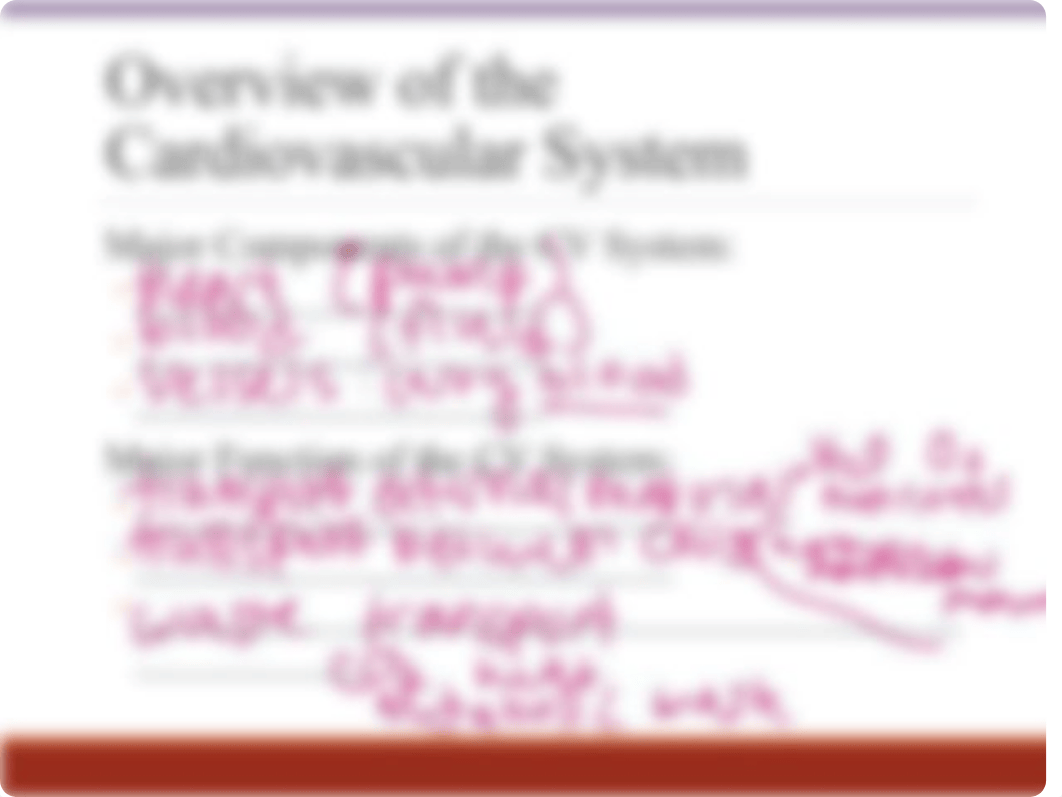 BIO 215 S19 Cardiovascular System- Overview and Heart Function (Ch 13).pptx_dwkbx56ujc1_page4