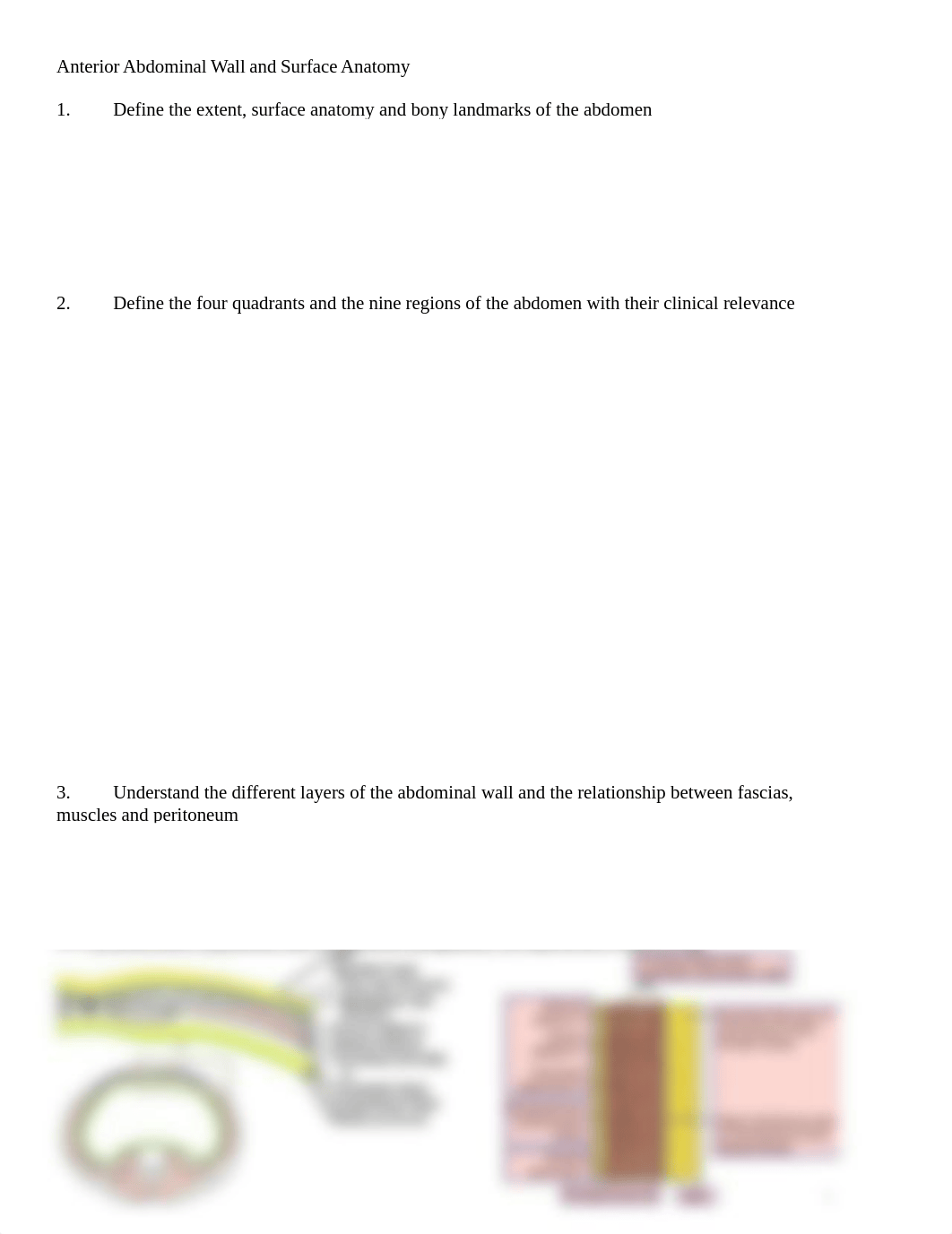 Anterior Abdominal Wall and Surface Anatomy.docx_dwkd71e6dzj_page1