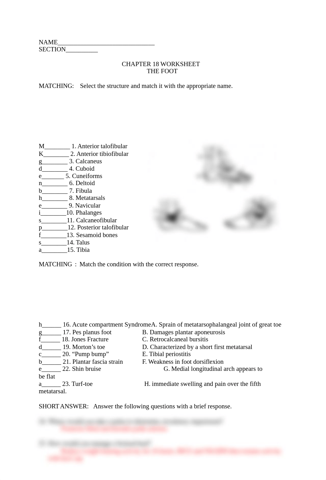 Worksheet18.docx_dwkdhuobho3_page1