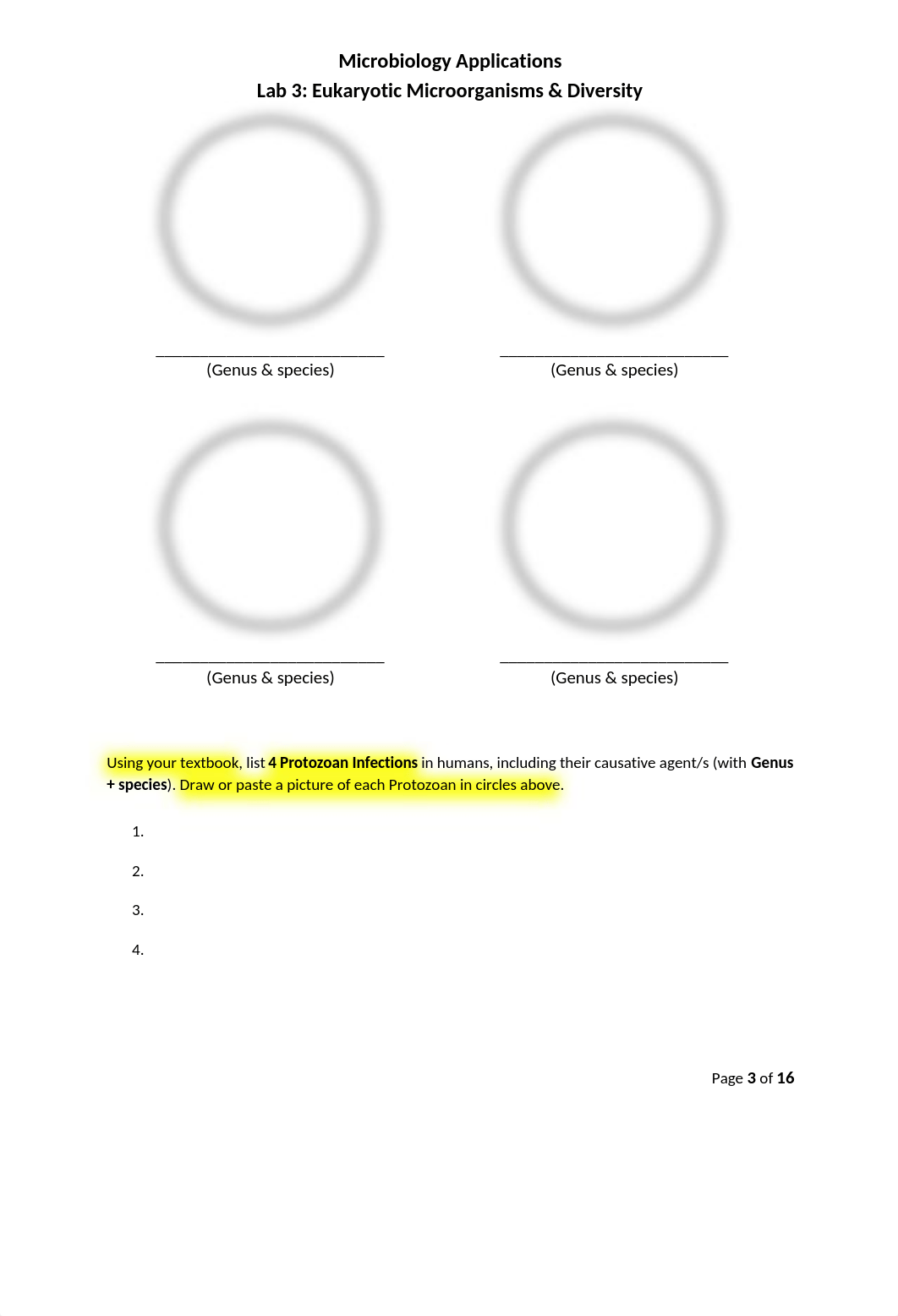 3 - Eukaryotic Microbes - Total 71 Pts - for Bb.docx_dwkfpcwhkxq_page3