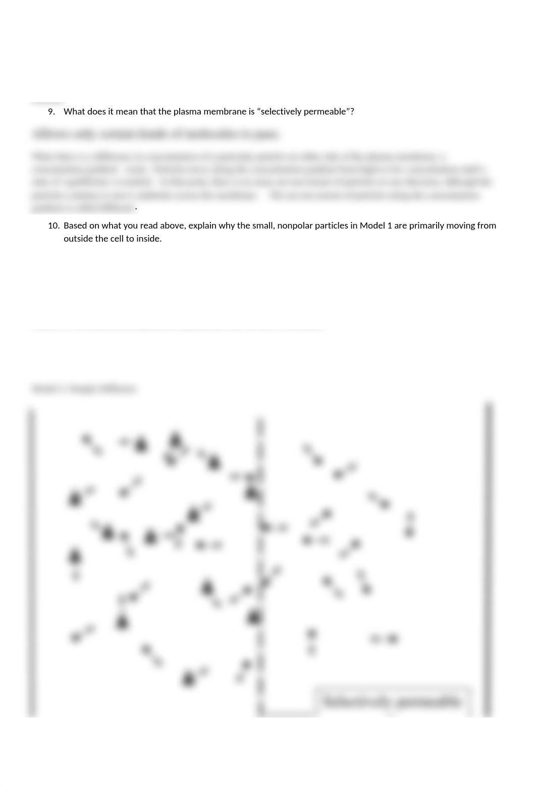 Membrane Transport POGIL (1).docx_dwklpsbq5rp_page2