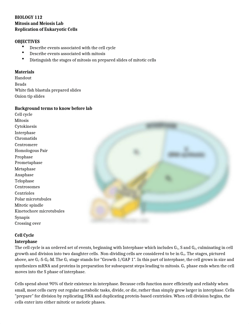 mitosis and meiosis and punnet squares instructions.docx_dwkroe516w5_page1