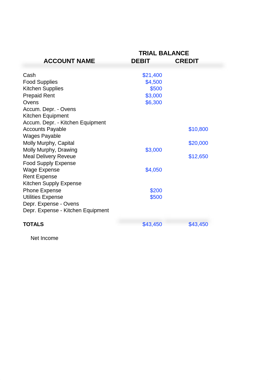 ACC1010_CompProb2_Student_template2.xlsx_dwkzqjkgw9i_page1