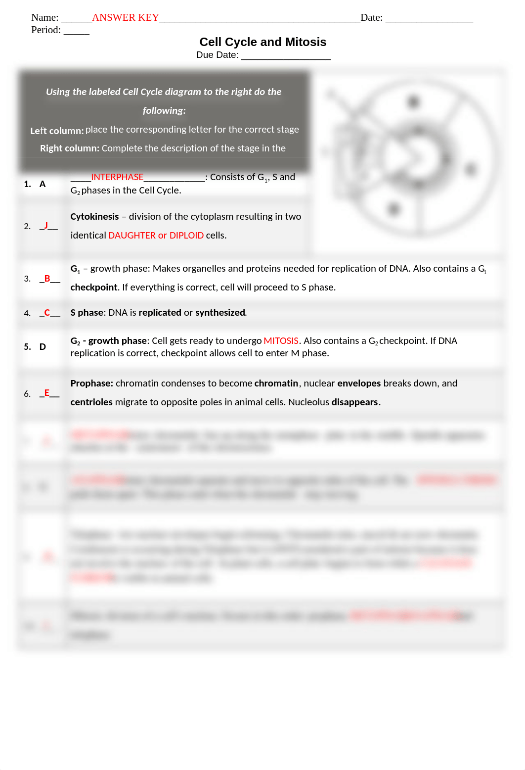 ANSWER KEY Cell Cycle Matching-Questions Worksheet wo cancer questions.doc_dwl4redtopd_page1