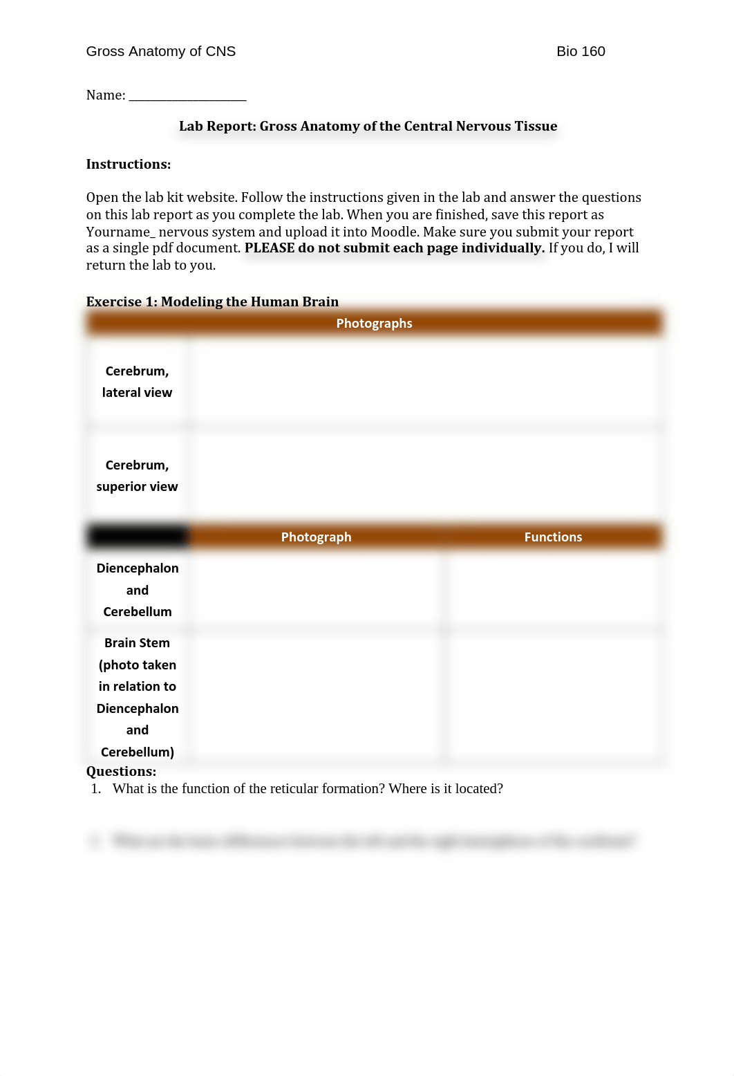 Gross_anatomy_of_CNS_lab_report_2014_dwl8xrrk1go_page1