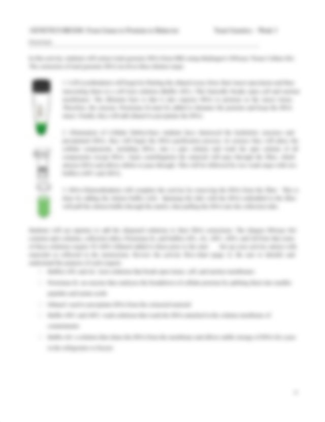 Yeast Genetics Week 3 lab Spring 2014_dwlfdfj95k0_page4