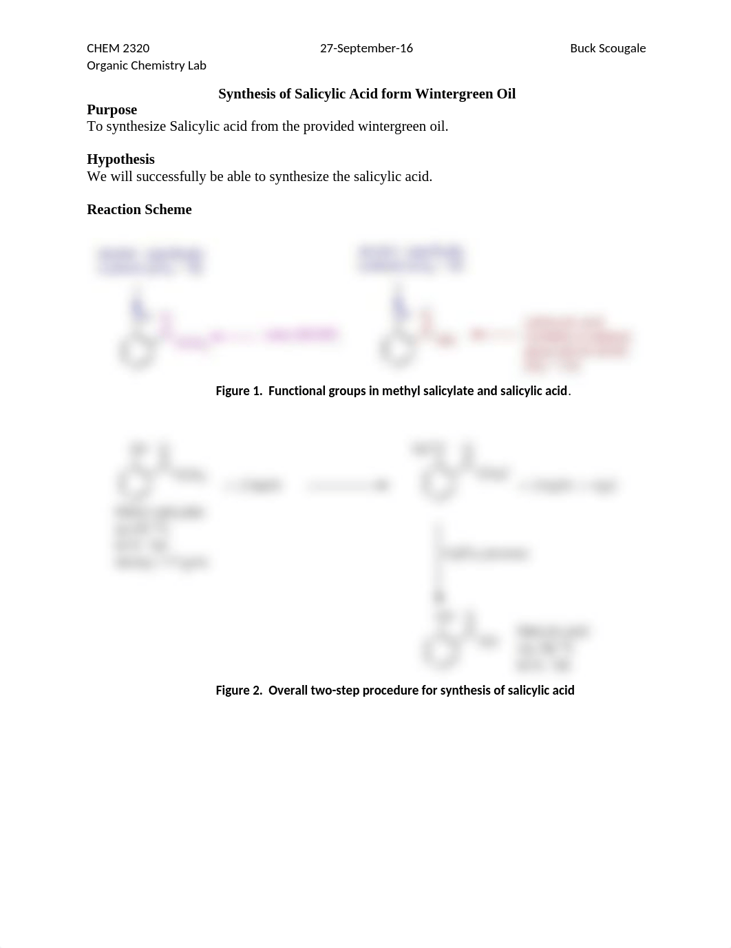 Lab 5 Synthesis of Salicylic Acid from Wintergreen Oil_dwlnt6kbiih_page1