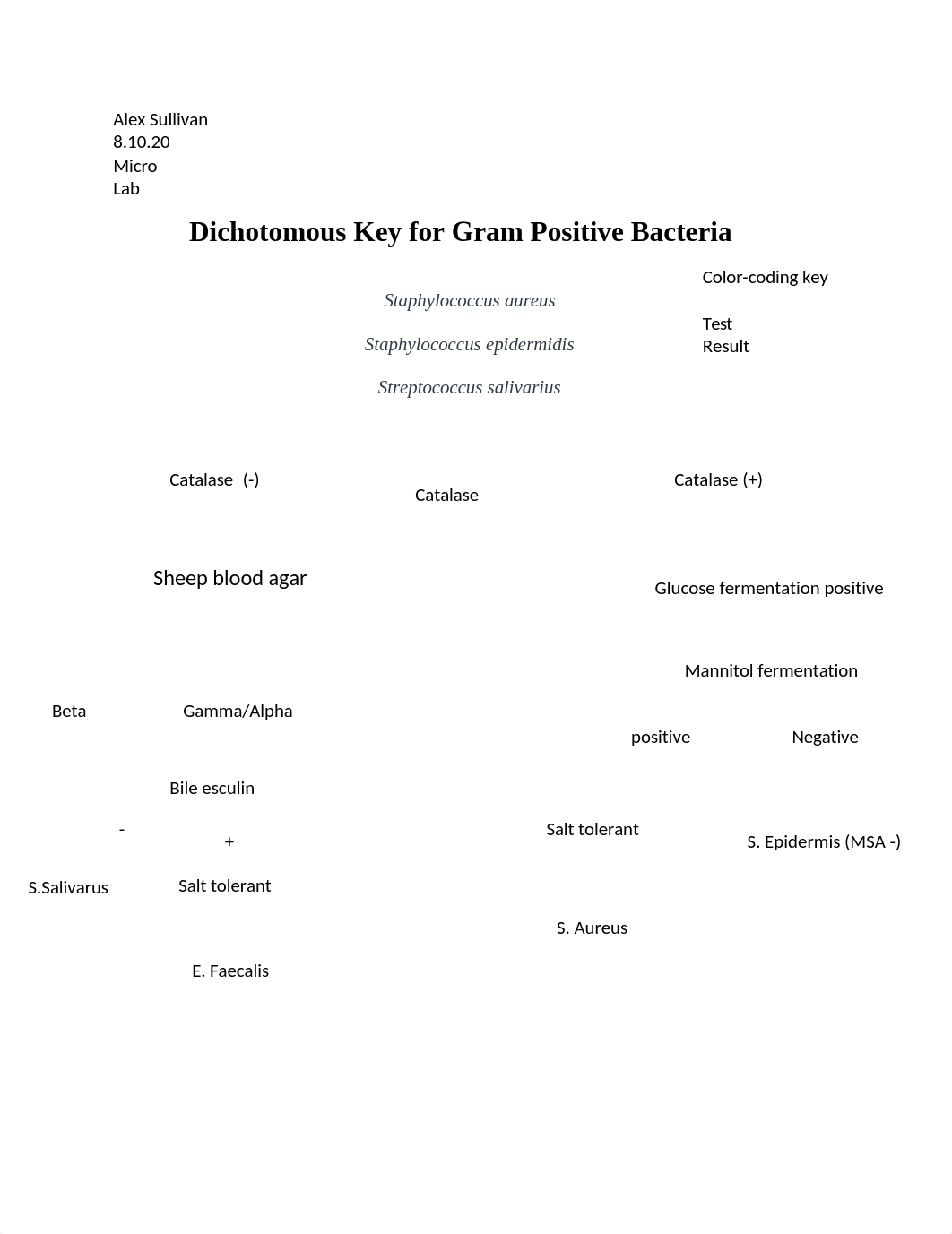 dichotomous key-gram positive.docx_dwlrpurw0tm_page1