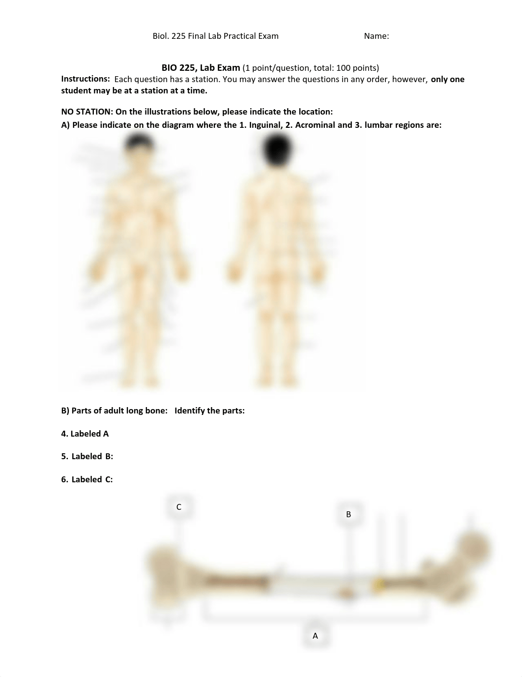 225 Final lab practical w answers.pdf_dwltty9zj97_page1