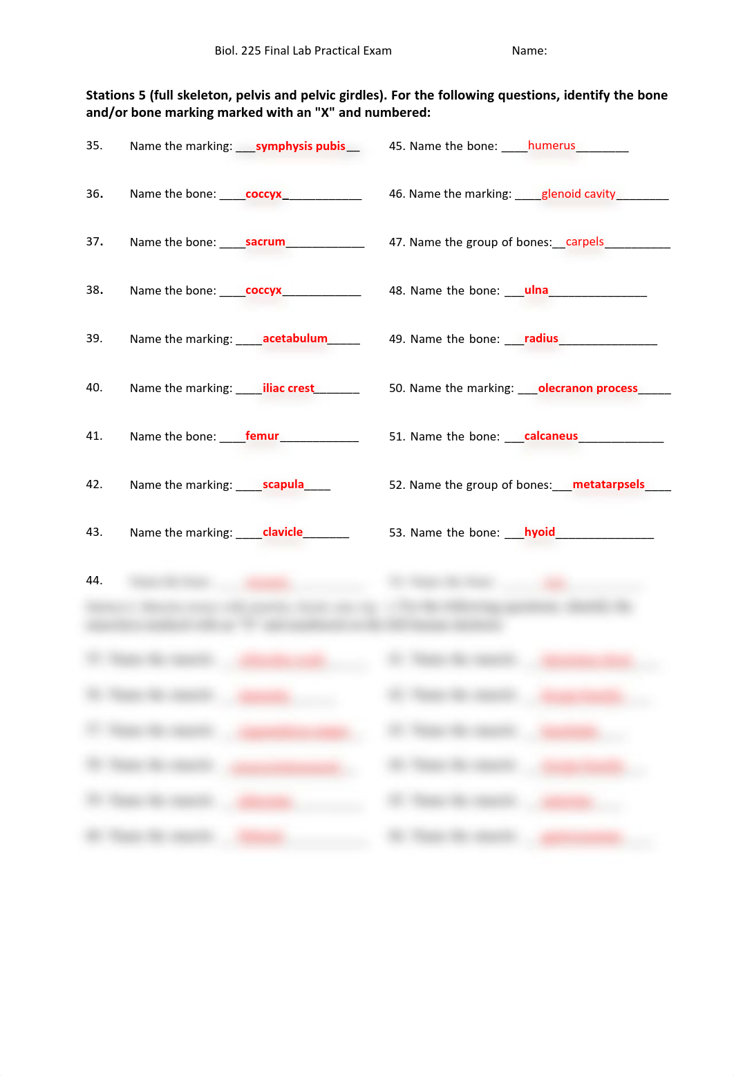 225 Final lab practical w answers.pdf_dwltty9zj97_page3