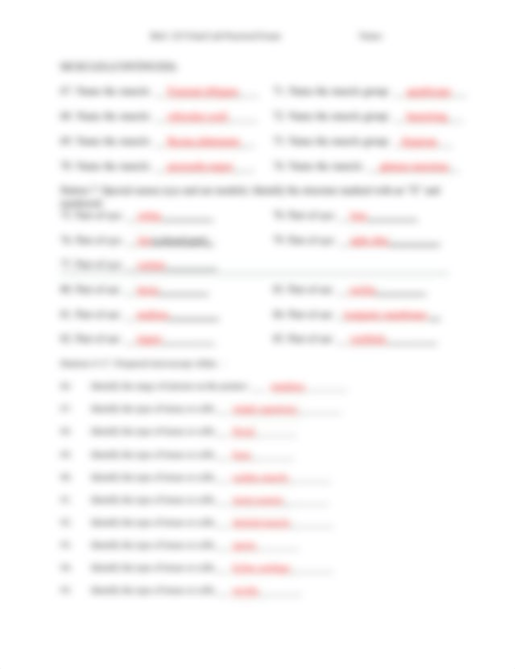 225 Final lab practical w answers.pdf_dwltty9zj97_page4