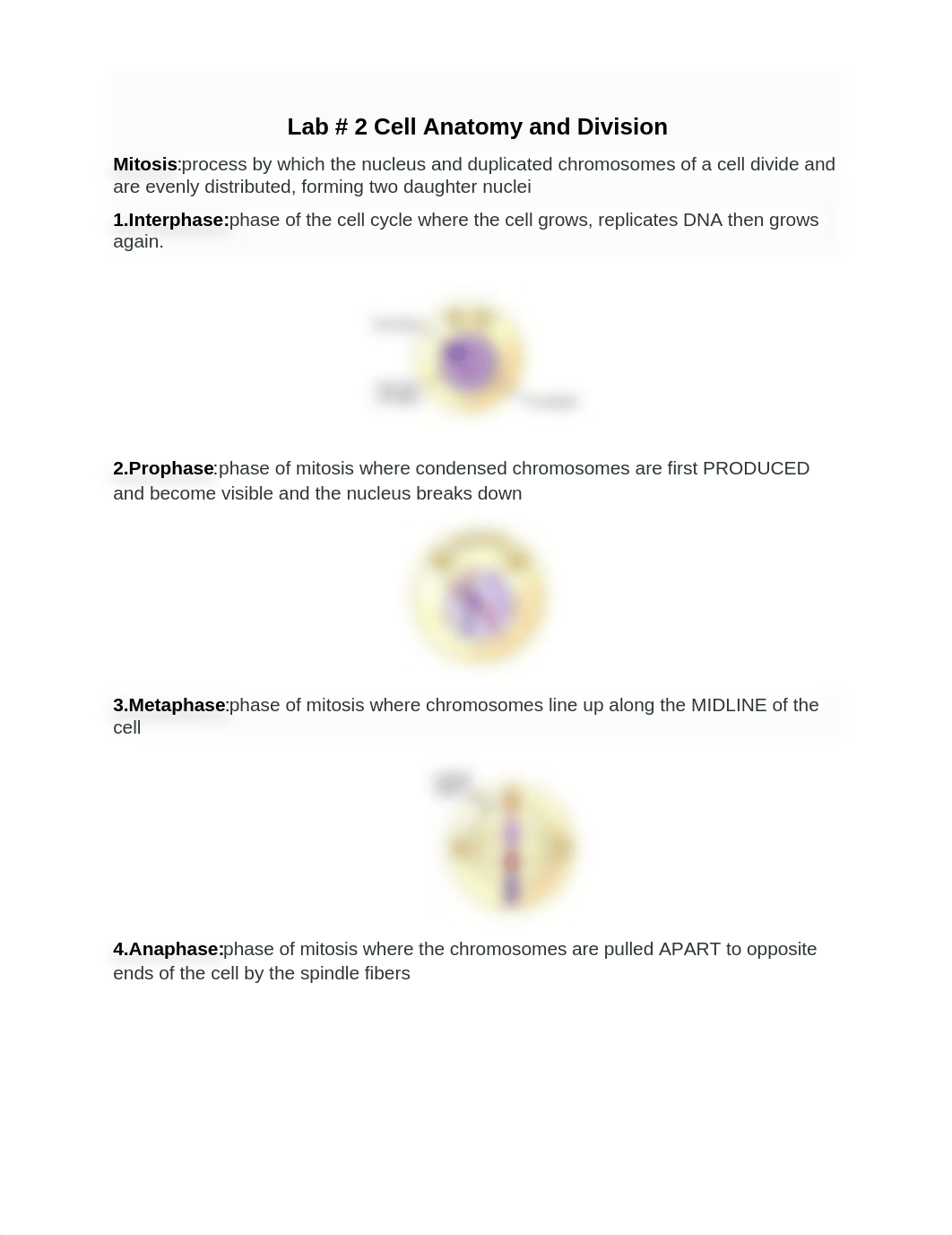 Lab#2 Cell anatomy and Division_dwlwn8quzai_page1