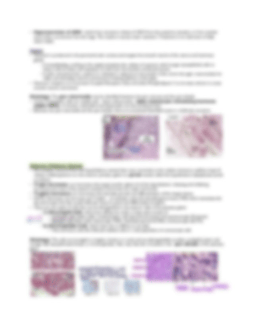 Hypothalamus and Pituitary Histology _ Physiology .pdf_dwlyassey90_page2