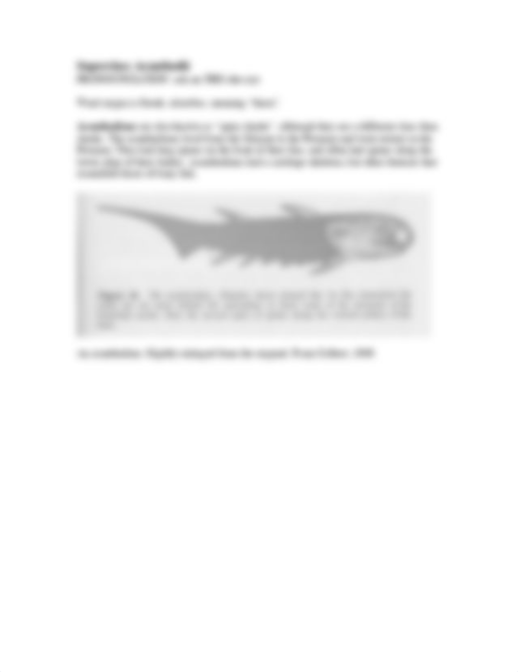 fishtaxonomy.pdf_dwm3pdgkehw_page5