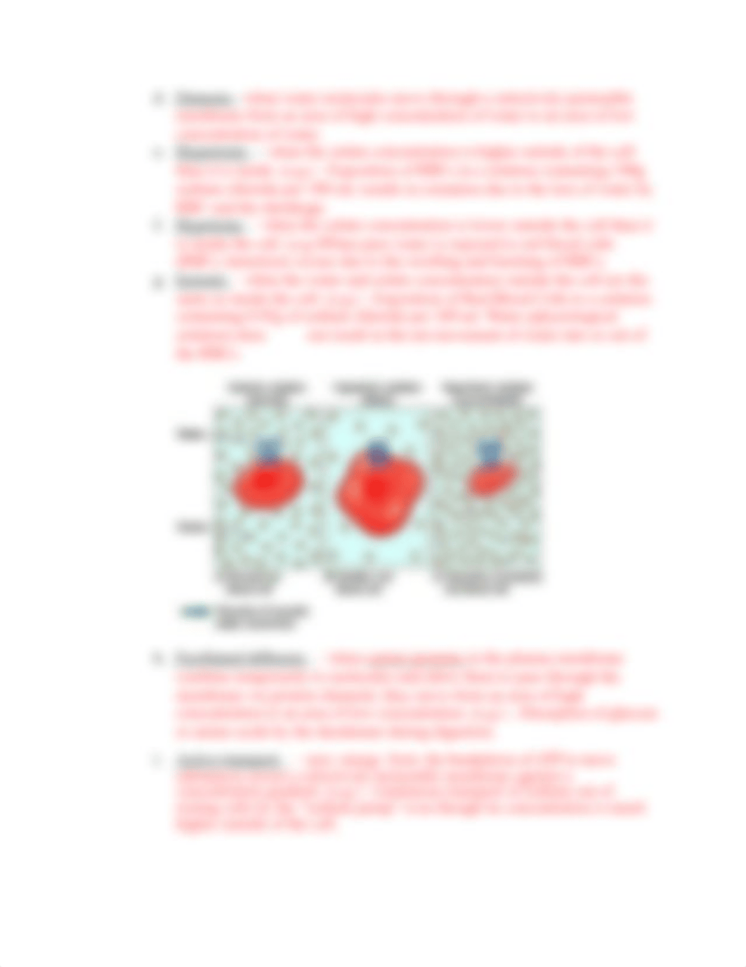 Anatomy Chapter 3 and 4_dwme8j4viao_page3