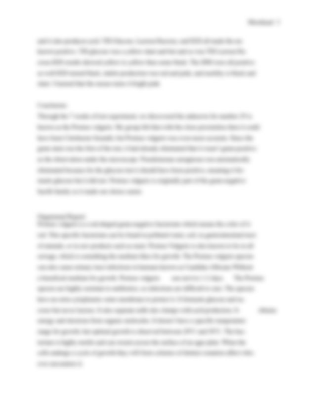 Proteus Vulgaris.docx_dwmimhotb86_page3