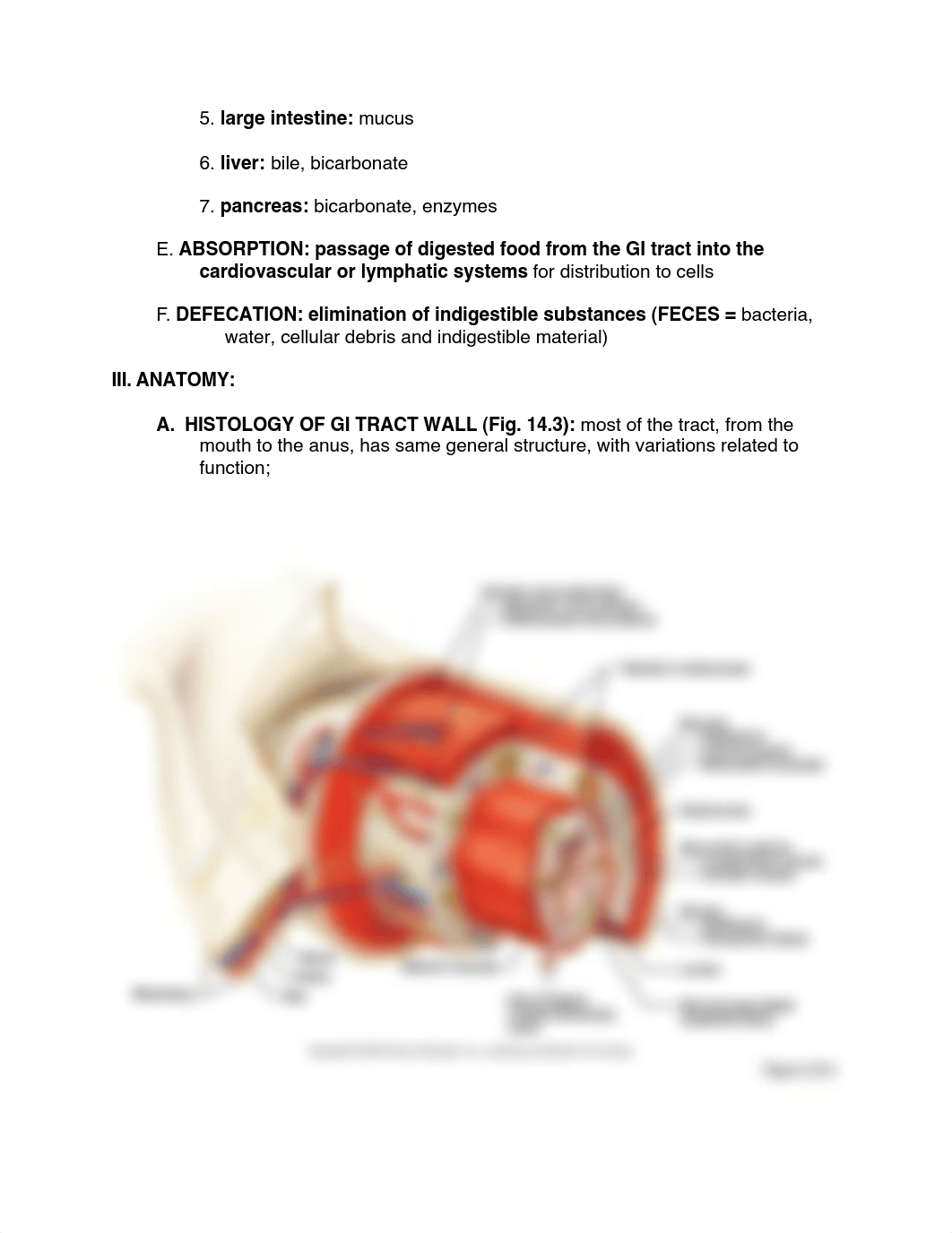 Digestive Anatomy Study Guide_dwmk6ak2dok_page2