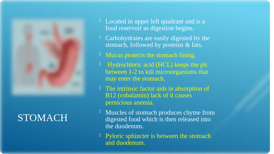 Chapter 48  Assessment Gastrointestinal System FA2021 CBT.pptx_dwmkbi6bzhw_page5