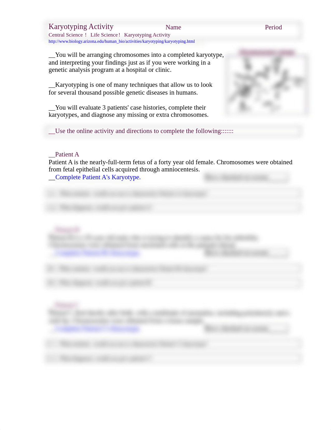 karyotyping.activity.pdf_dwmo5w09w0z_page1